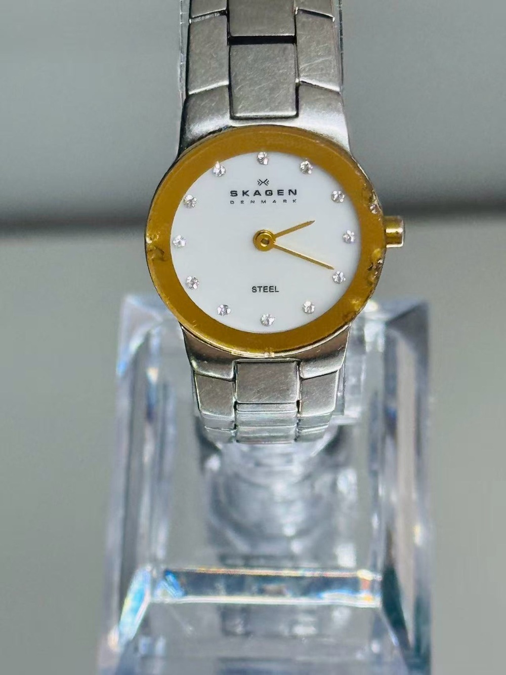 Vintage Skagen Denmark Women’s Quartz Watch Two Tone 23mm New Battery Runs